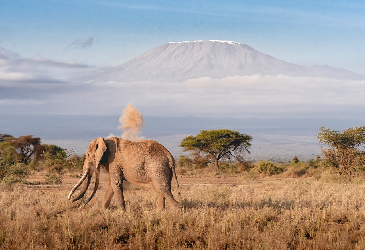 5-Day Kilimanjaro Climbing Adventure