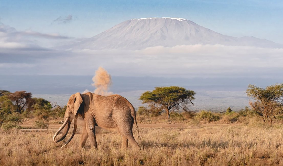 5-Day Kilimanjaro Climbing Adventure