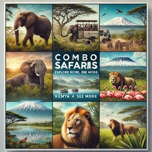 Combo Safaris (Multiple Destinations)