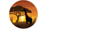 Sandavy Tours