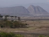 Sandavy Safaris